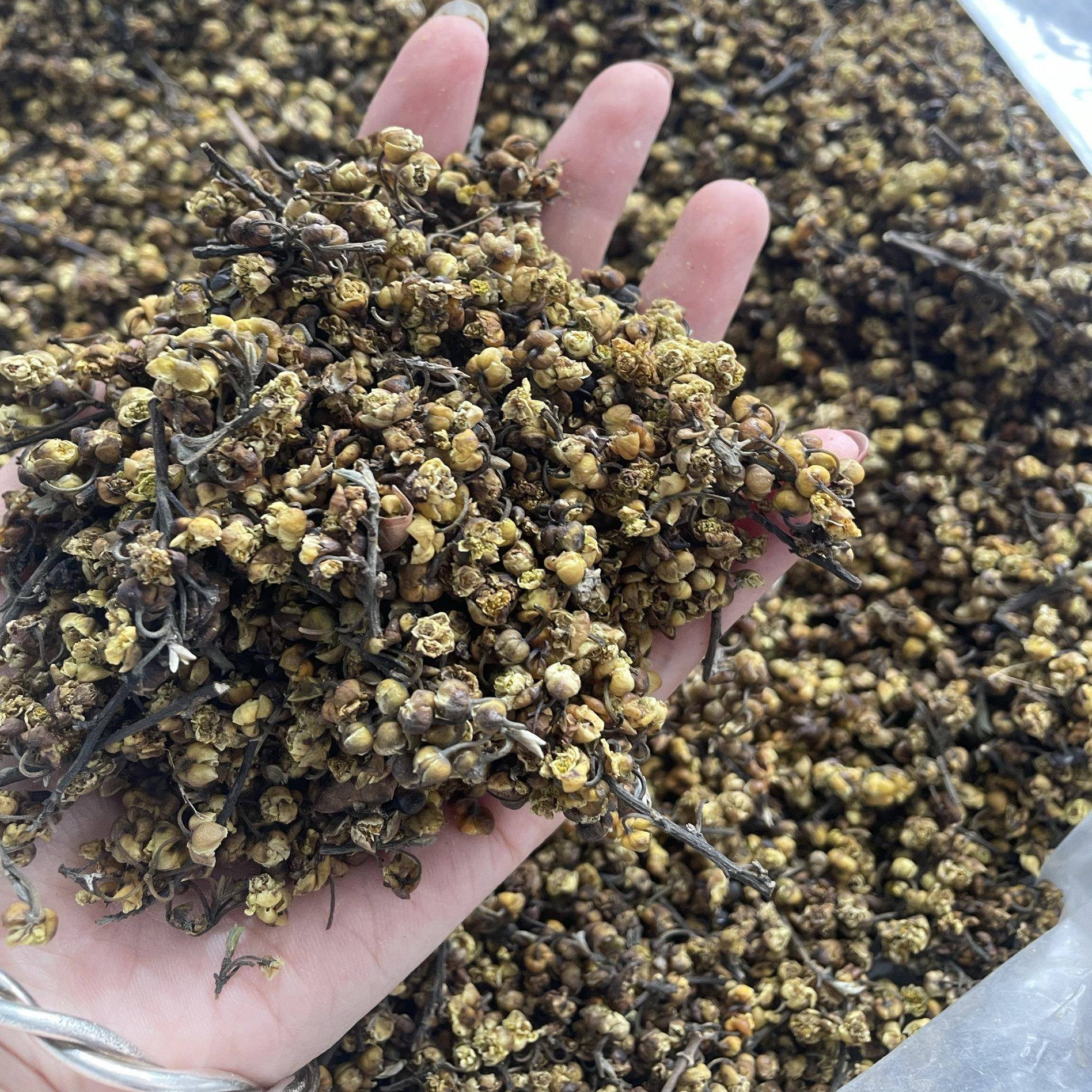 新货木姜子野生山鸡椒山香椒山苍子花茶臭籽花荜澄茄250克
