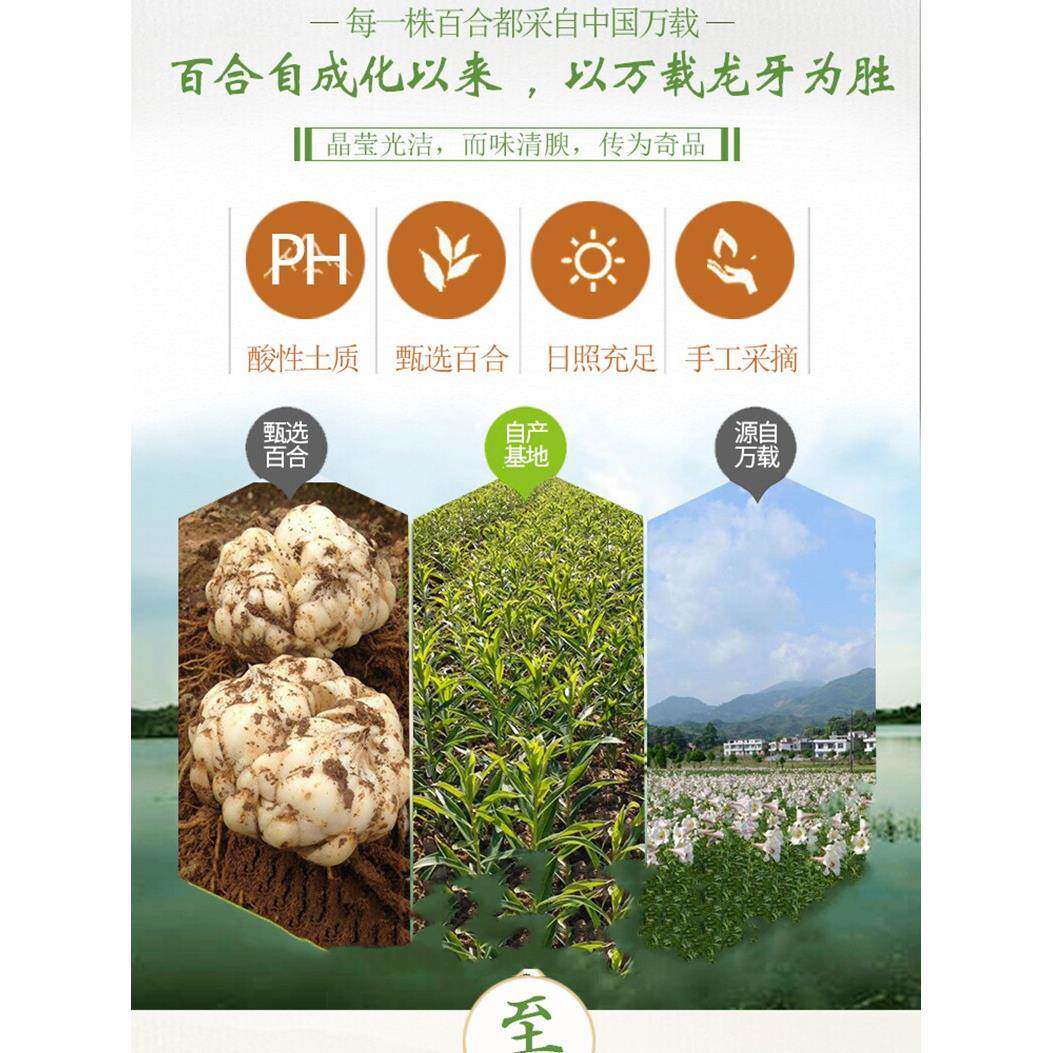 百合粉纯粉万载龙牙百合粉康翔900克礼盒装正宗食用江西宜春特产