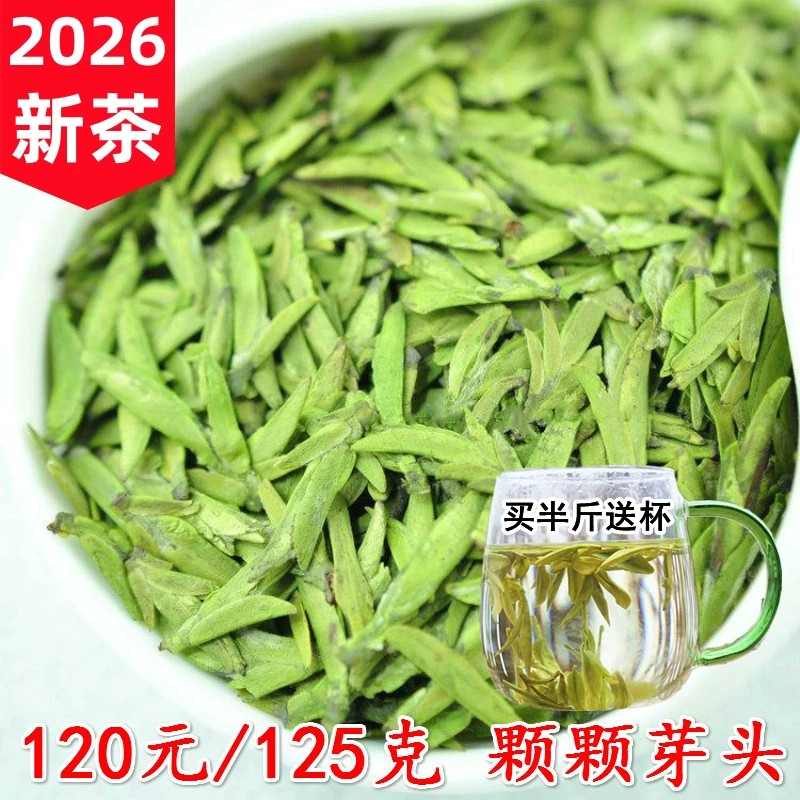 现货龙井新茶春茶绿茶 明前龙井头芽乌牛早龙井茶叶清香豆香