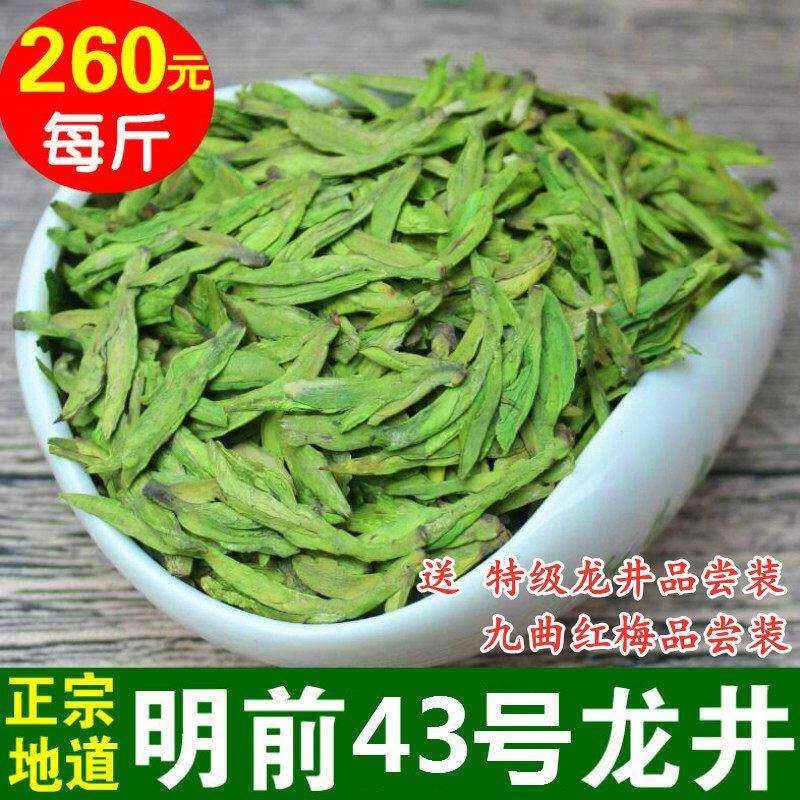 现货龙井2025新茶明前龙井春茶绿茶龙井500g龙井43品种豆香龙井