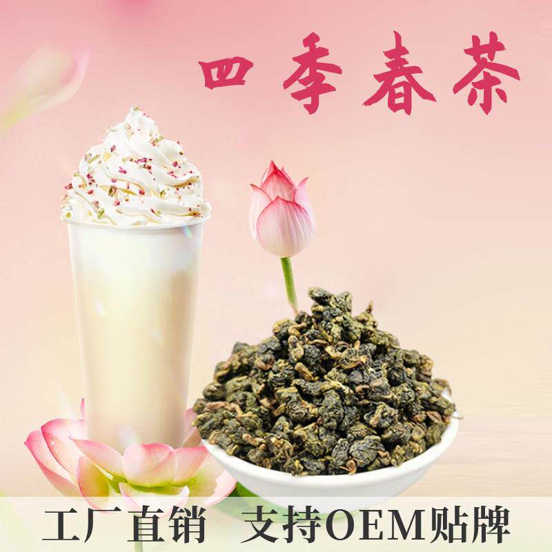 台湾四季春青茶奶茶店专用高山乌龙茶柠檬茶水果茶奶茶原料花香型
