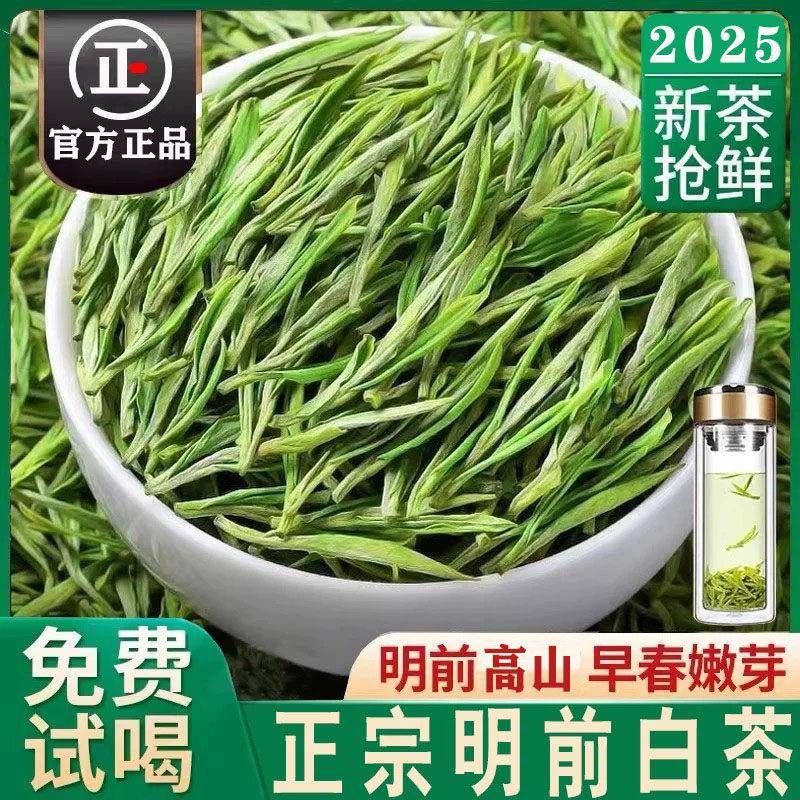 【一芽一叶嫩芽】正宗明前高山白茶2025新茶毛尖绿茶500g浓香