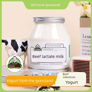 老马草原内蒙风味牛初乳酸奶1kg*2桶发酵凝固型酸奶