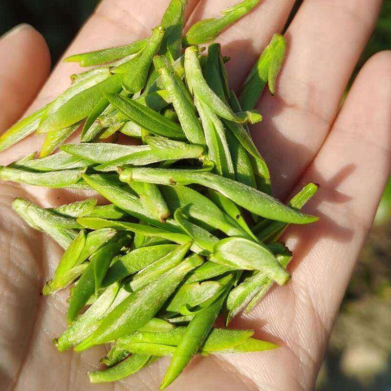 【龙井全芽】开 园头采 2025年新茶 甄选 好茶