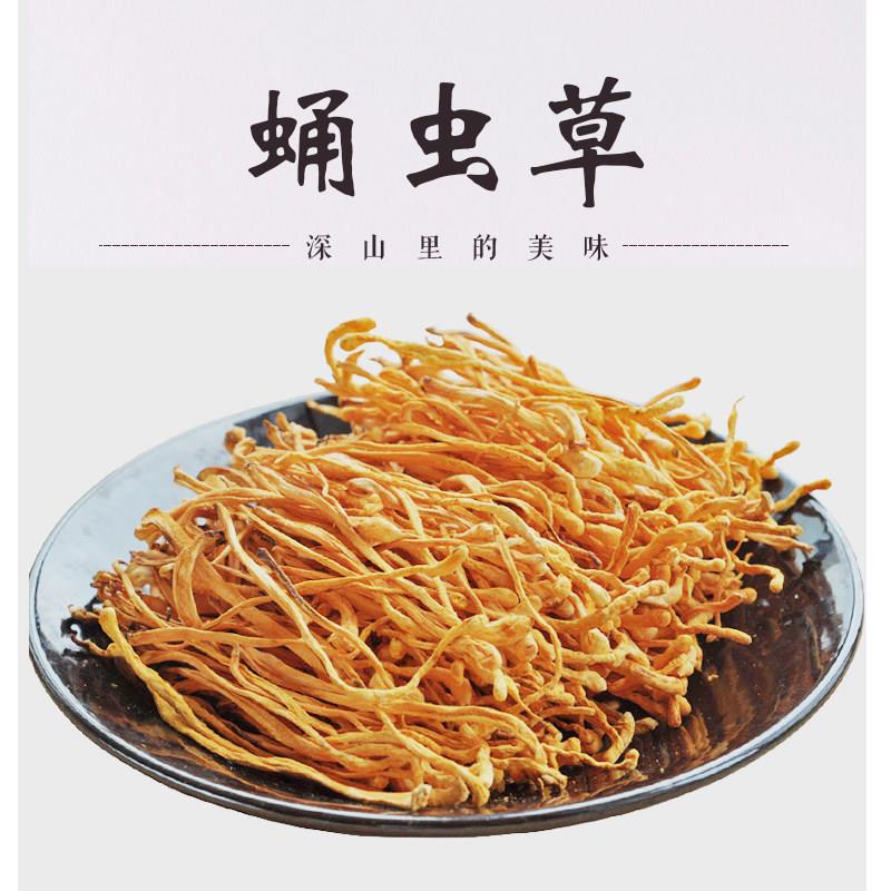 福建宁德蛹虫草干货特产食用农产品营养滋补品