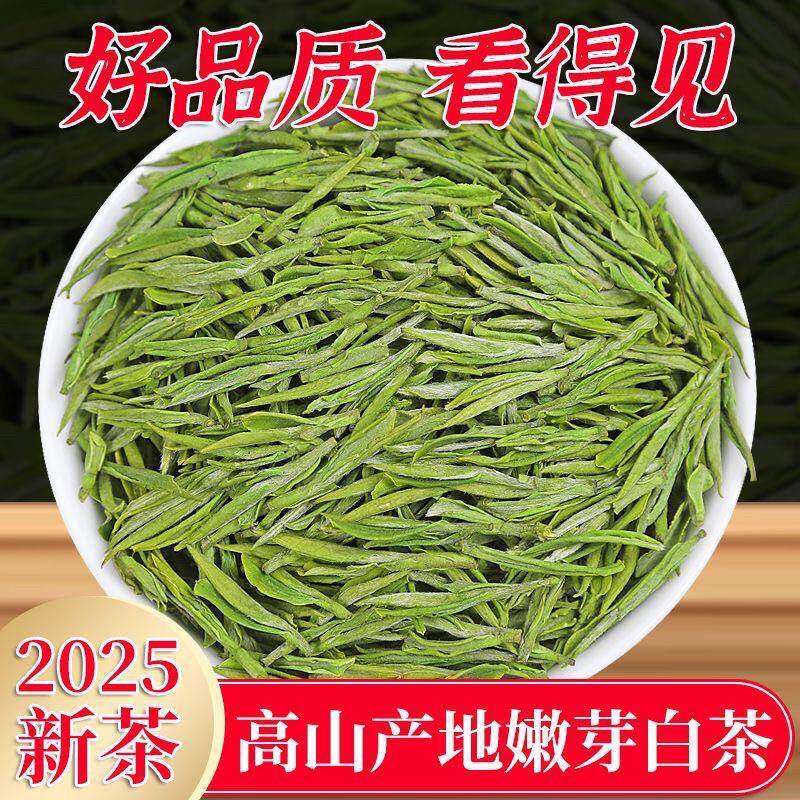 珍稀白茶新茶春茶明前绿茶250g散装浙江茶农正宗嫩芽绿茶茶叶