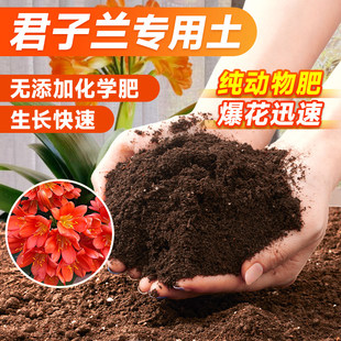 君子兰专用土家用养花有机土壤种植土肥料种花盆栽土君子兰营养土