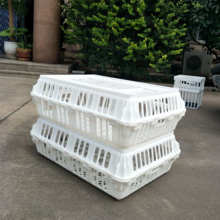 家禽周转箱 家禽运输笼 鸡鸭鹅方形运输筐 加厚塑料运输鸡笼