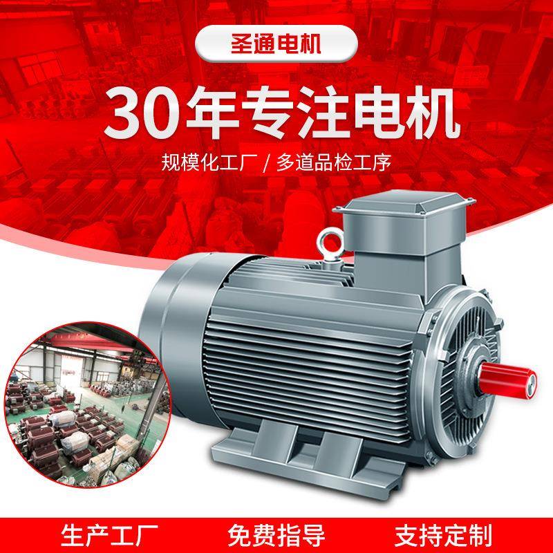 厂家货源YE3-315S-8级55W三相异步立式电动机矿山机械电机马达