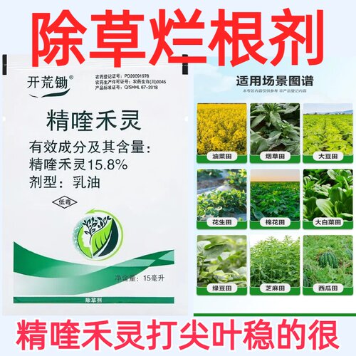 精喹禾灵杂草牛筋稗草尖叶除草剂
