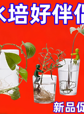 鱼缸水培绿植定植器创意小人植物固定神器办公室扶枝防倒伏用品