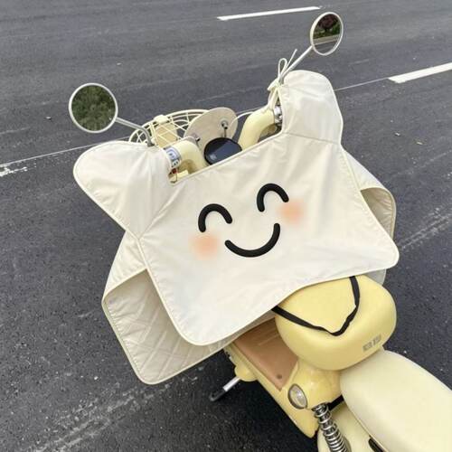 卡通风电动车挡风被夏季遮阳防晒罩防风防水电瓶车四季通用高颜值