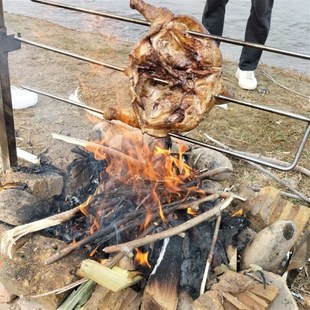 烤乳猪烤羊腿烤烧鸡不锈钢烧烤架旋转加厚可清洗烤羊架子小型新款