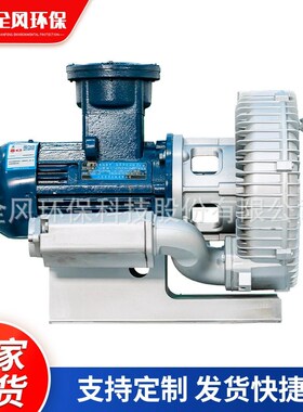 防爆高压鼓风机防爆等级DIIBT4/DIICT4 工业高压漩涡真空气泵
