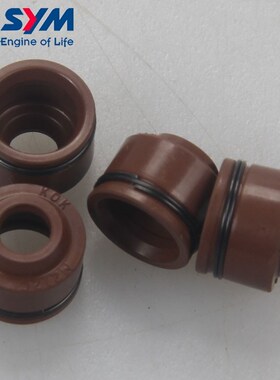 三阳 cruisym 巡弋300 阿尔法 TCS joymaxZ 九妹 plus 气门油封