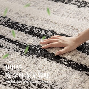 2025新款防水防污地毯客厅免洗可擦灰色隔音加厚沙发轻奢高级地垫