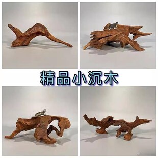 拍一发二树根摆件 枯木鱼缸造景紫柚木小号沉木水族装饰树桩