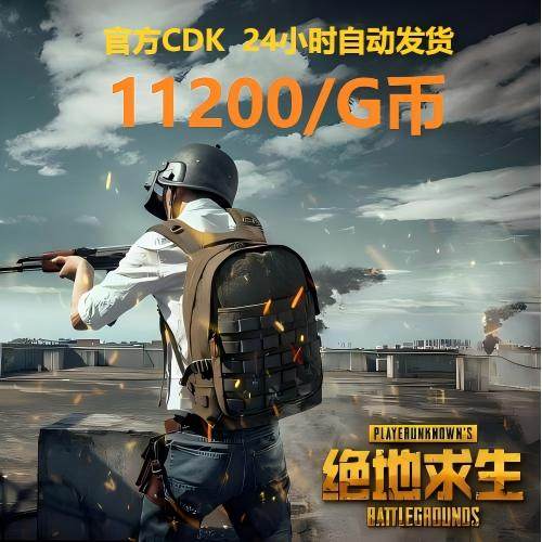 PUBG绝地求生11200G币CDK吃鸡商城皮肤点卷充值兑换码官方GB金币