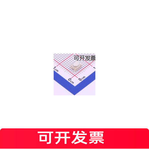 TS-1089AR02516轻便开关