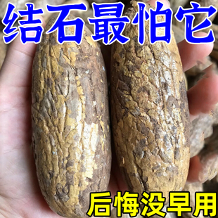 肾结石排石茶鸡内金专用清石化石溶石去胆囊喝什么利尿中草特效茶