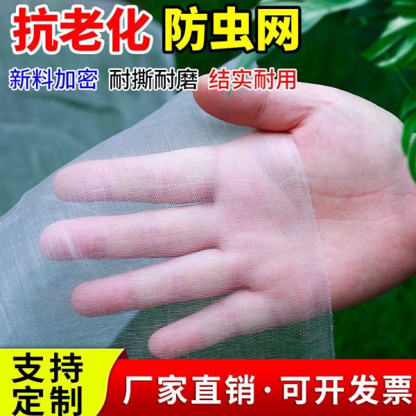防虫网纱网加密防鸟菜网水果吃加厚蝇罩的种防蚊网蔬菜防鸟防虫网