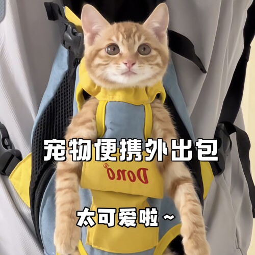 宠物外出便携双肩包防挣脱神器