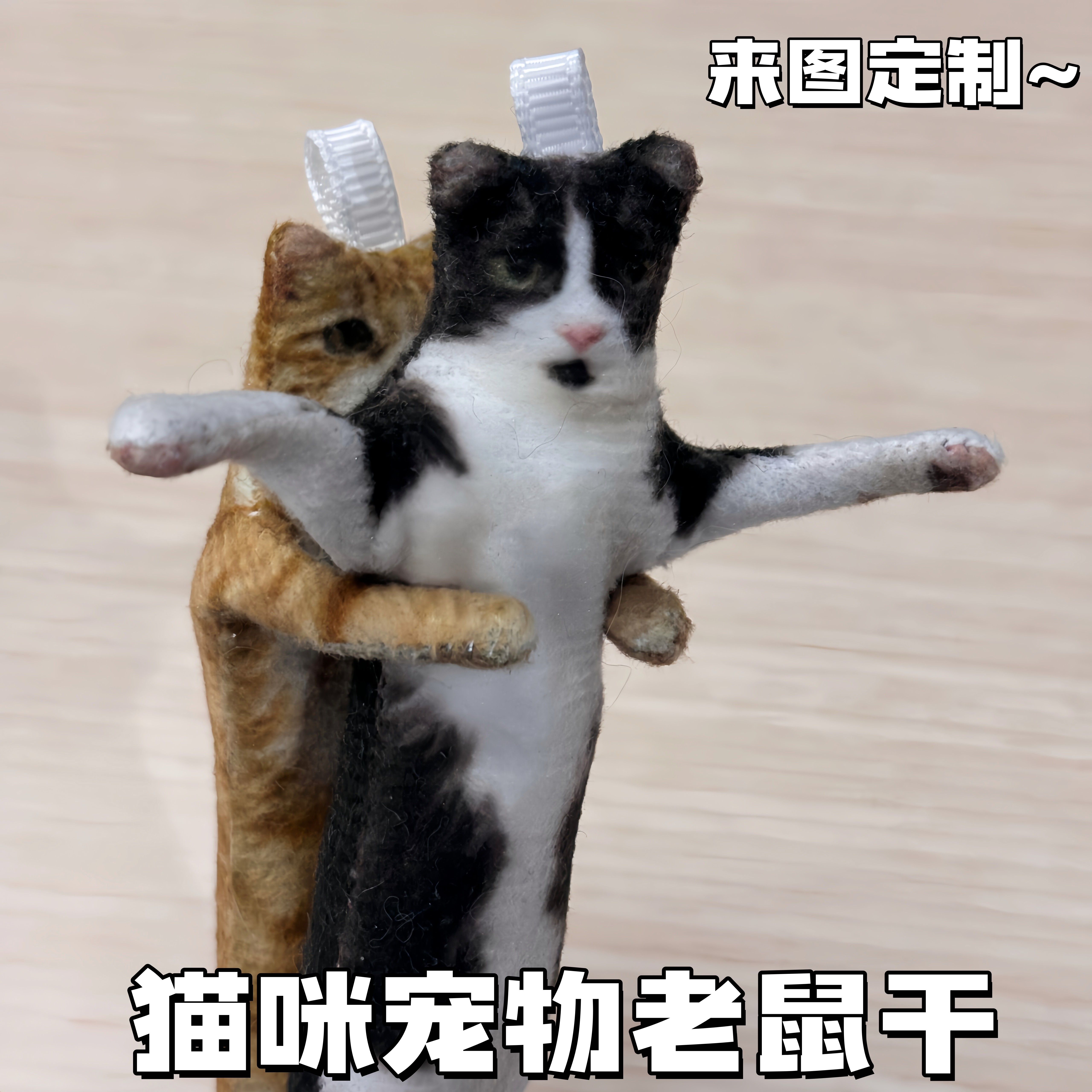 猫咪宠物乳鼠干来图定制带骨架图片
