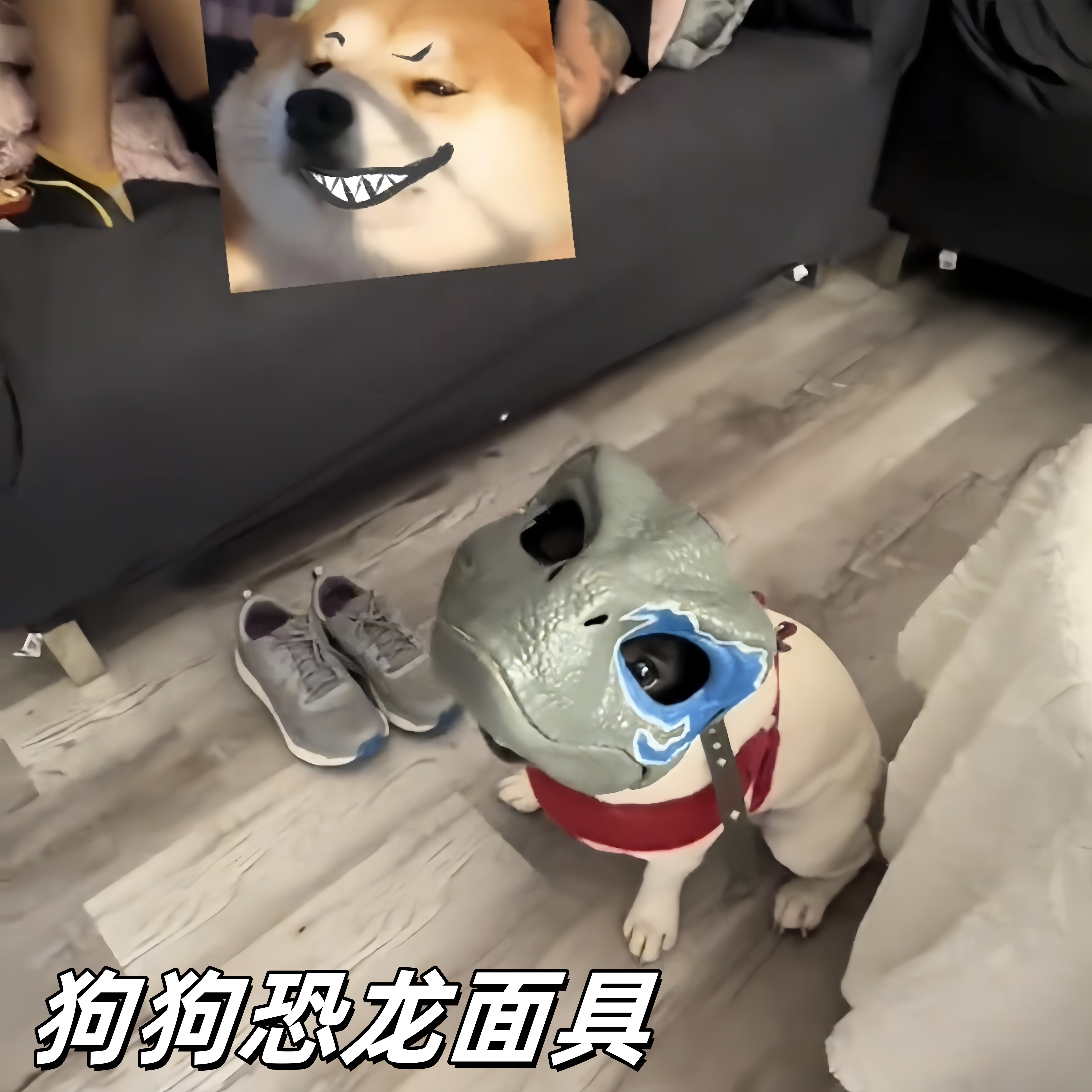 狗狗恐龙面具可动霸王龙玩具图片
