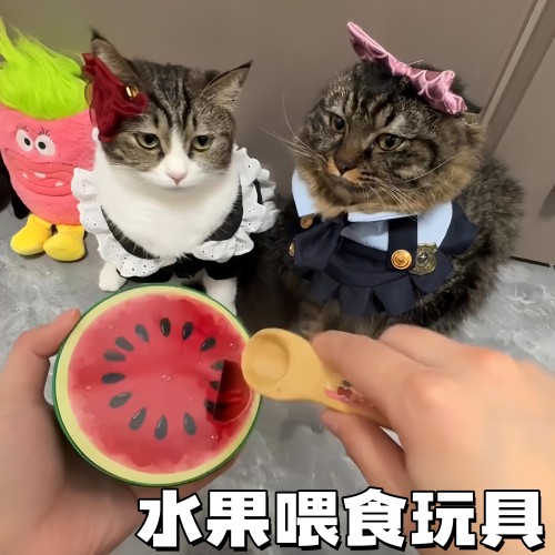 仿真西瓜喂食过家家玩具猫咪