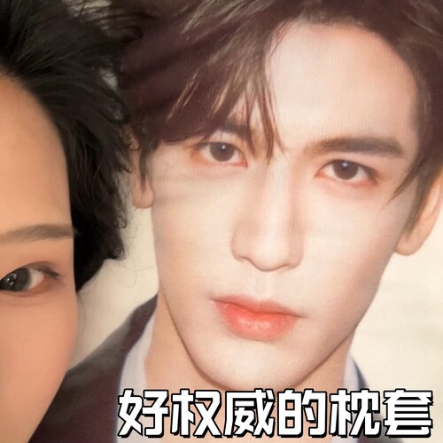 张凌赫同款枕套定制明星周边女生宿舍单人陪睡枕头靠枕送朋友礼物