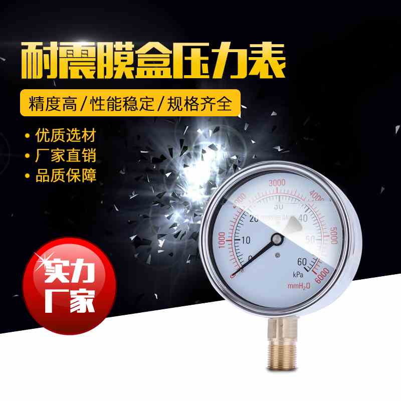 YEN-100 耐震膜盒压力表充油不锈钢微压表抗震千帕表10Kpa16Kpa25