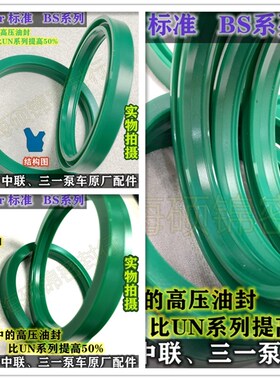 BS 55*63*1055*65*6/7.3/8/10/11.4/12 轴用高压油缸密封圈