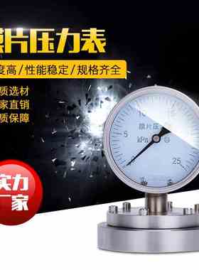不锈钢法兰膜片压力表YTF100BF  法兰式膜片压力表YPBF压力表防腐