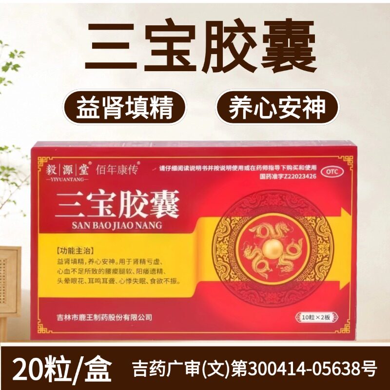 毅源堂 0.3g*20粒/盒 健脾益肾