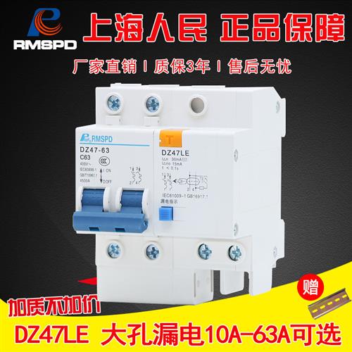 人民漏电保护器出线大孔断路器DZ47LE2P 63A家用总闸漏保空气开关