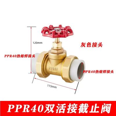 热熔PPR双活接铜截止阀PE水截门开关4分6分自来水管阀门开关配件