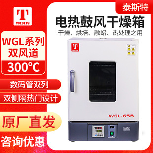 45B 65B 125B 天津泰斯特 625B立式 30B 230B 电热鼓风干燥箱 WGL
