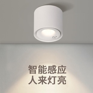 led人体感应智能筒灯明装式家用天花灯吊顶灯防眩玄关走廊过道灯