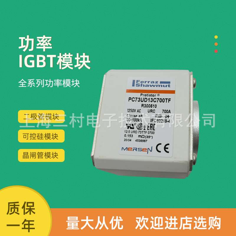 全新熔断器保险丝D73GB55V550TF/T302099 D73GB55V630TF/V302100