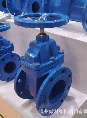 Z41X-10C Z41X-16C Z4w5X-10C Z45X-16C 铸钢软密封暗杆 明杆闸阀