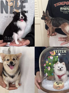 羊毛毡宠物定制成品m创意猫咪狗狗戳戳乐 手工纪念摆件全身礼物di