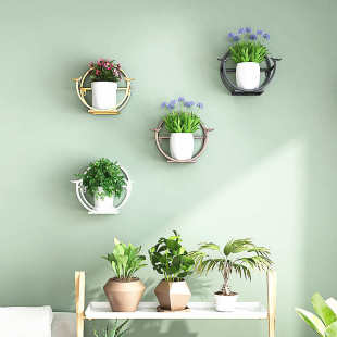 墙壁装 客厅壁挂式 餐厅墙面花盆架 o挂壁挂墙上 饰置物 绿萝花架