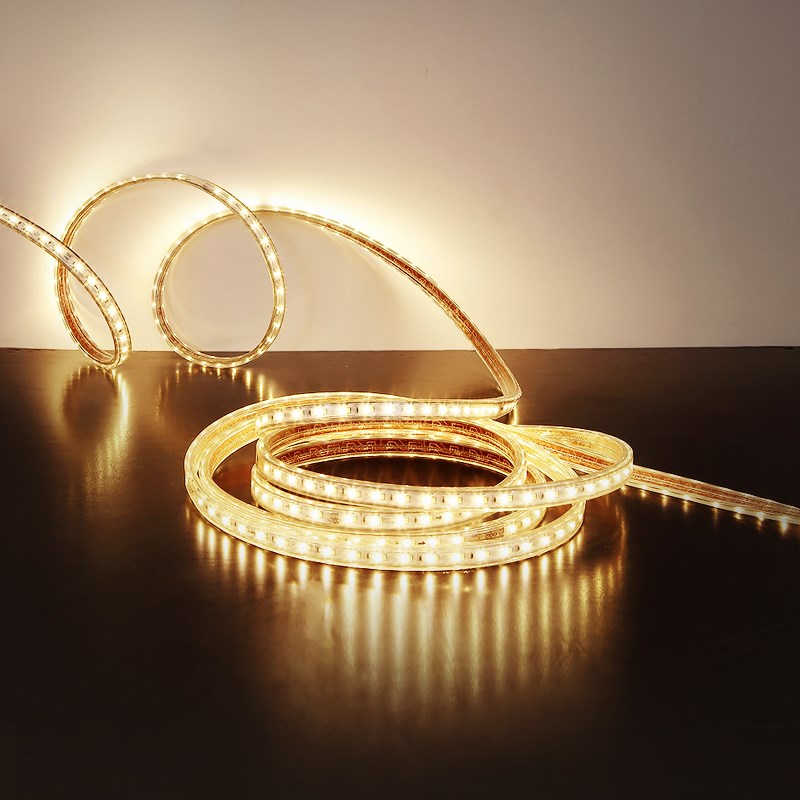 聚辉达 lefd灯带家用220V超亮超薄软灯条户外防水吊顶室内客厅线