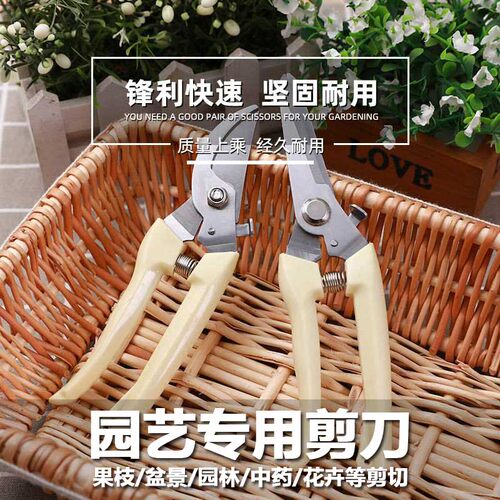 园艺剪刀剪枝剪树枝o修枝剪花剪园林修剪粗枝剪子省力花艺工具果