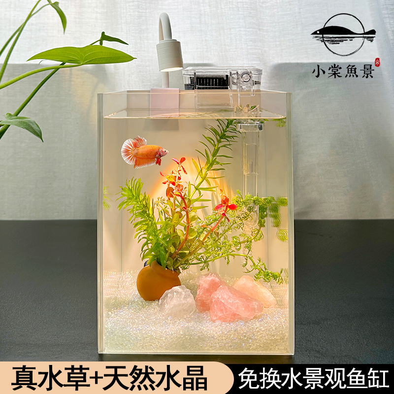 小棠鱼景鱼缸小型客厅白水晶造景斗鱼鱼缸新款办公室桌面玻璃缸