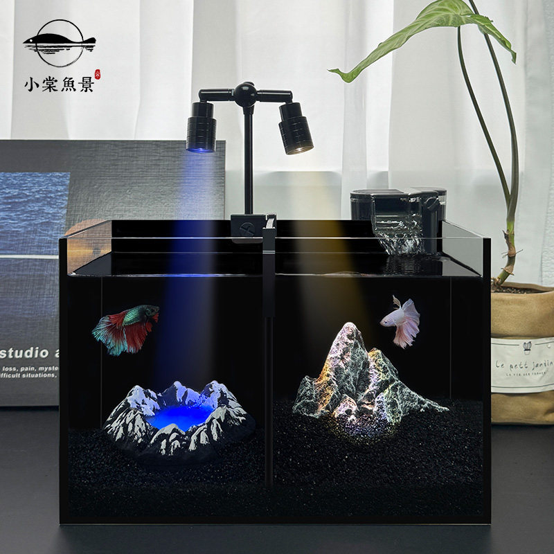 全套双格斗鱼缸小型客厅创意造景斗鱼鱼缸桌面免换水超白玻璃鱼缸