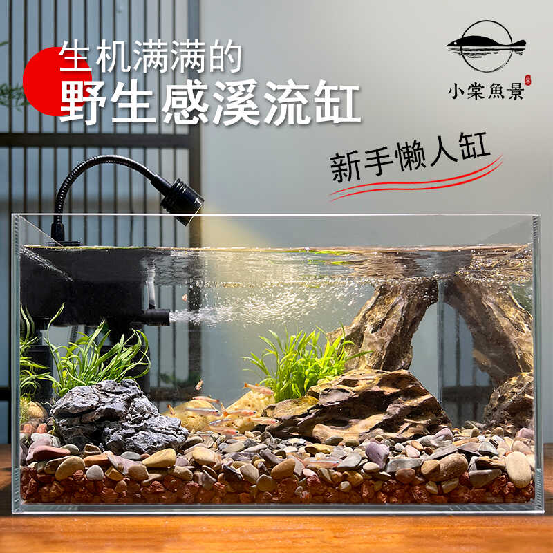 金晶超白玻璃鱼缸定做定制水族箱客厅小型长方形草缸海水缸乌龟缸