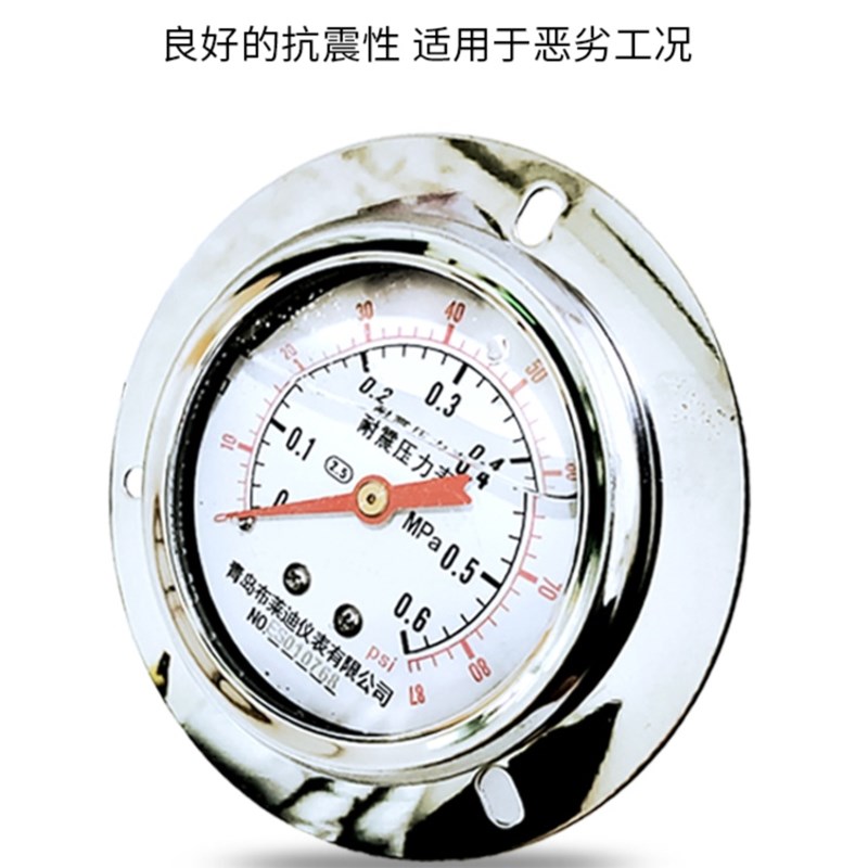 青岛布莱迪仪表YN-60耐震压力表气压表水压油压防震抗震轴向径向