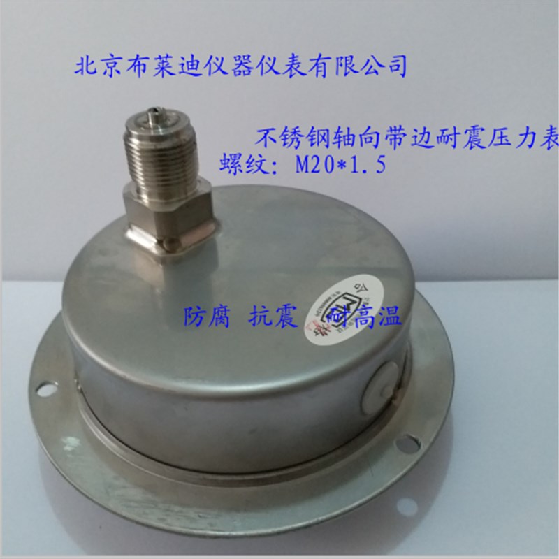北京布莱迪压力表YTHN100ZT 轴向前边不锈钢耐震压力表M20*1.5
