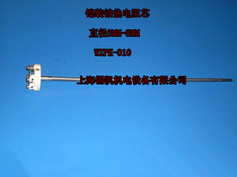 铠装热电偶 热电阻装配式温度传感器测温芯 感温探头WZPK-010